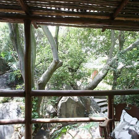 Little Forest Guest House Johannesburg Kültér fotó