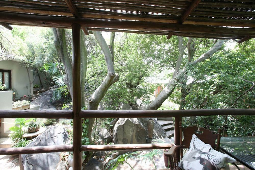 Little Forest Guest House Johannesburg Kültér fotó